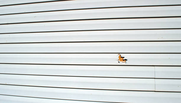 Best Siding Removal and Disposal  in Lindenhurst, NY